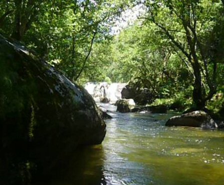 R�o Xares no Couto do mismo nome.