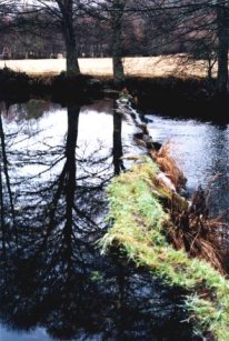 Couto do Xares. Foto do autor da www.