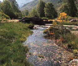 R�o Xares. Ourense natural.